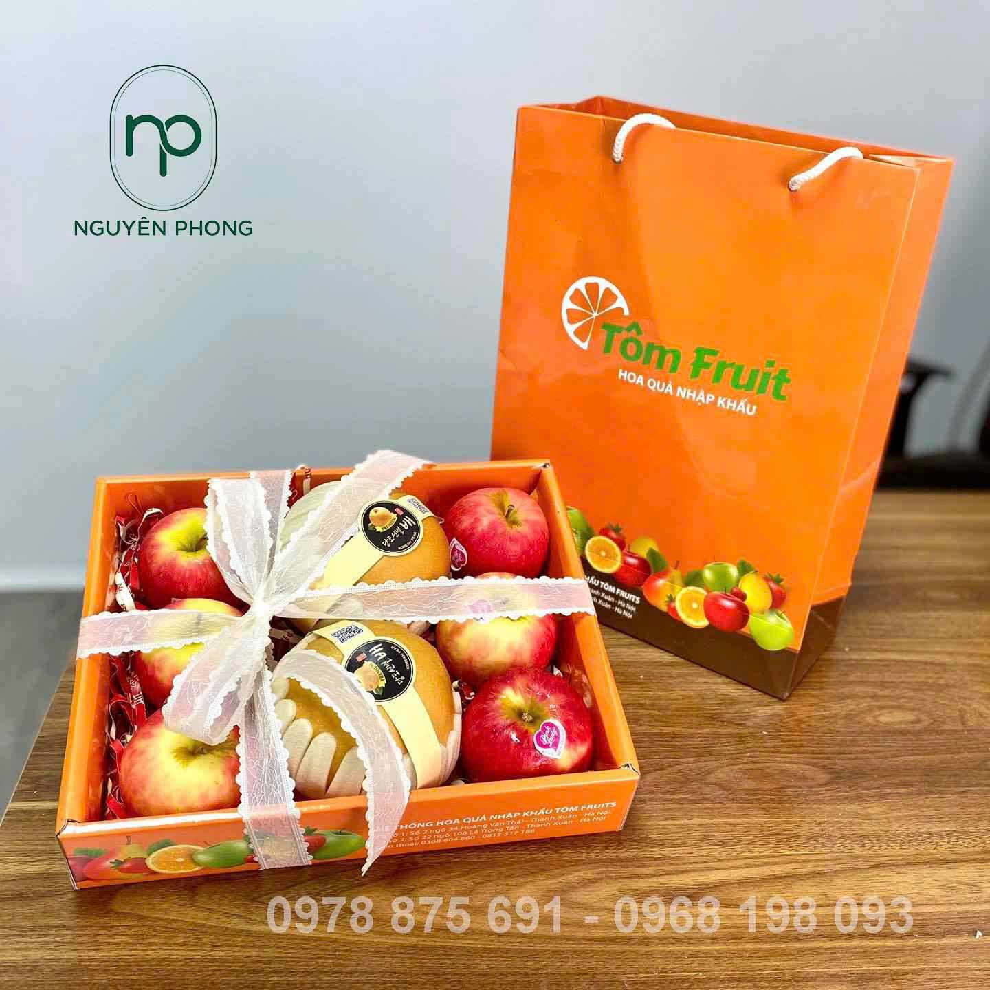 Mẫu in túi kraft đựng trái cây